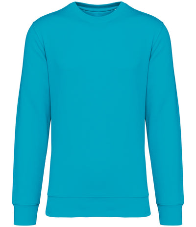 Light Turquoise