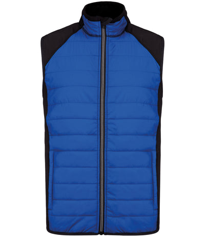 Dark Royal Blue/Black