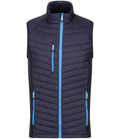 Navy/French Blue
